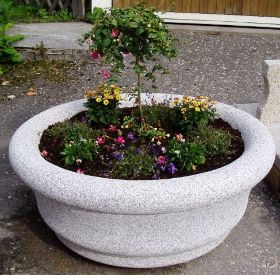Bild 1.jpg